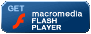 Download Flash and ShockWave
